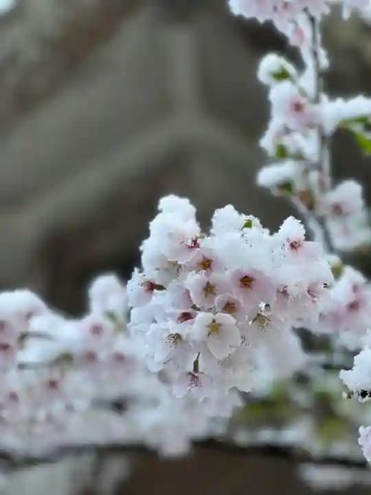 鹿島大神宮(福島県)