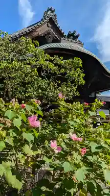 得浄明院(善光寺別院)(京都府)