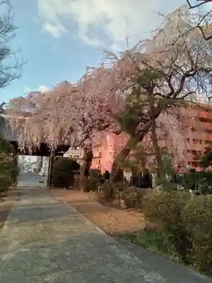 泰心院(宮城県)