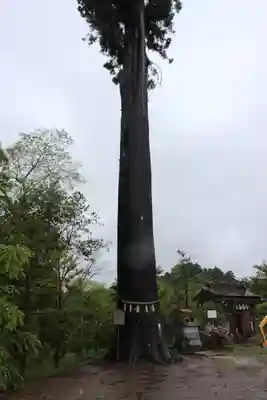 鶴峯八幡宮(千葉県)