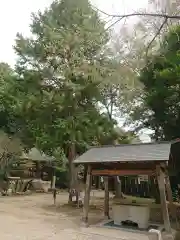 関山神社の手水