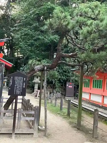 住吉神社の自然