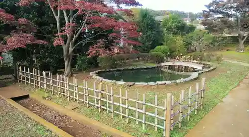 勝光寺の庭園