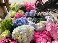 札幌諏訪神社の手水舎