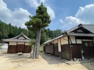 八阪神社(滋賀県)
