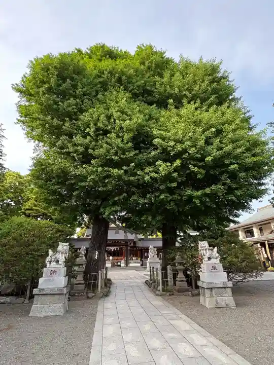 亀ケ池八幡宮の{uncategorized: "未分類", other: "その他", undefined: "問題あり", building: "その他建物", grave: "お墓", sacred_gate: "鳥居", guardian: "狛犬", statue: "像", buddha: "仏像", history: "歴史", nature: "自然", garden: "庭園", animal: "動物", pagoda: "塔", temizu: "手水舎", mountain_gate: "山門・神門", sanctuary: "本殿・本堂", subordinate: "末社・摂社", art: "芸術", scenery: "景色", jizo: "地蔵", ema: "絵馬", goshuin: "御朱印", omikuji: "おみくじ", items: "授与品その他", amulet: "お守り", goshuincho: "御朱印帳", eats: "食事", festival: "お祭り", votive_dance: "神楽", shichigosan: "七五三参", wedding: "結婚式", experience: "体験その他", initially: "初詣", around: "周辺", anti_infection: "感染症対策"}