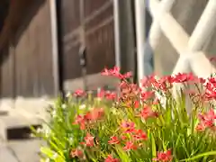 白鳥神社の自然