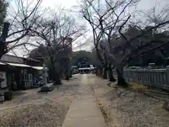 酒見神社の建物その他