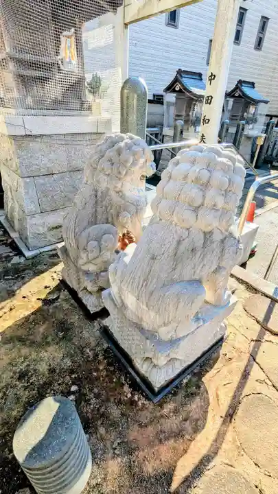荻窪白山神社の狛犬