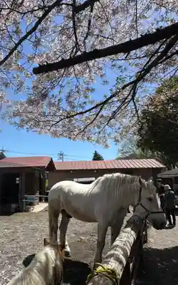 小室浅間神社(山梨県)