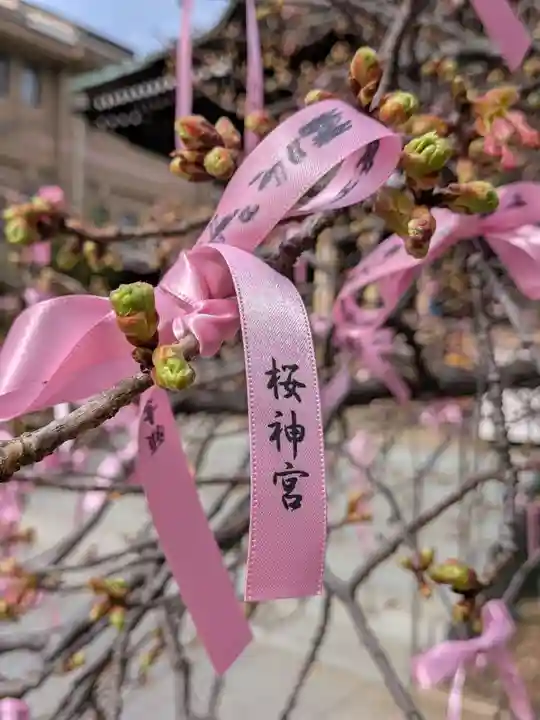 桜神宮(東京都)