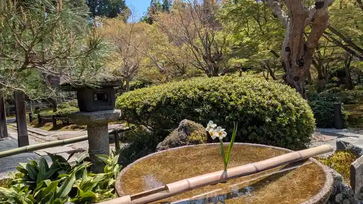 圓光寺(京都府)