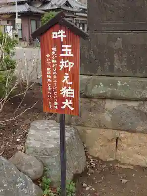 上戸田氷川神社(埼玉県)
