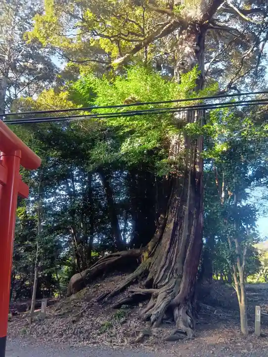 南宮稲荷大明神(岐阜県)