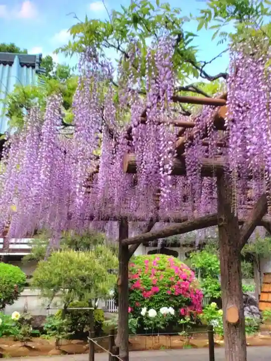 愛染院(東京都)