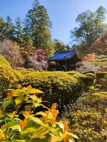 西明寺の建物その他