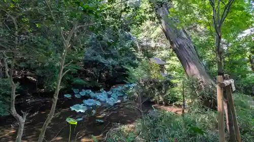 龍潭寺(京都府)
