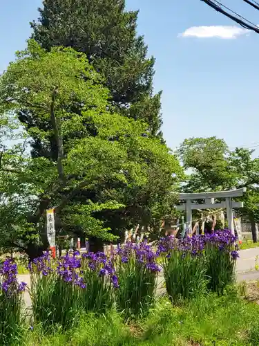 高司神社〜むすびの神の鎮まる社〜(福島県)