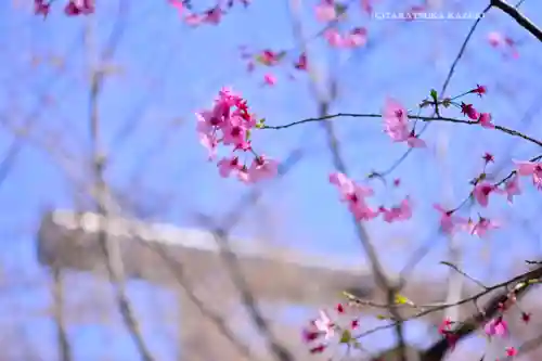 靖國神社(東京都)