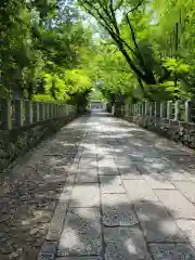 向日神社(京都府)