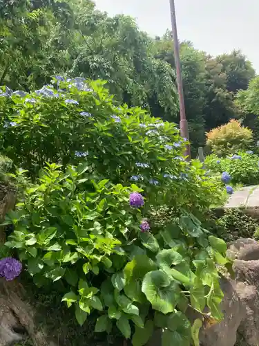 天源院(神奈川県)