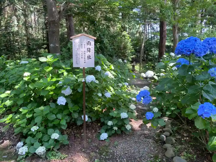 結城諏訪神社(茨城県)