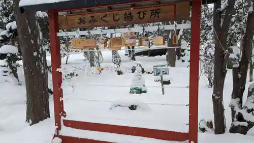 北海道護國神社のおみくじ