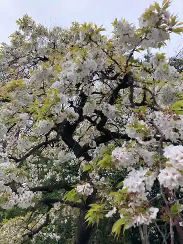 武蔵一宮氷川神社(埼玉県)