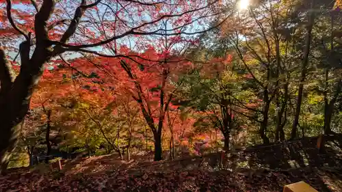 善峯寺(京都府)