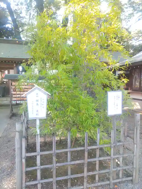 一言主神社(茨城県)