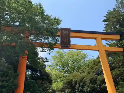 川越氷川神社の鳥居