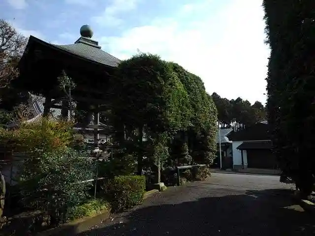 禅林寺の庭園