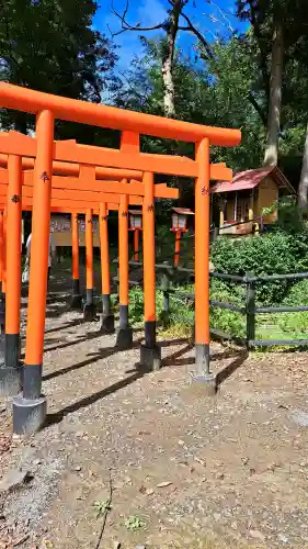 西坂ねこ稲荷神社の{uncategorized: "未分類", other: "その他", undefined: "問題あり", building: "その他建物", grave: "お墓", sacred_gate: "鳥居", guardian: "狛犬", statue: "像", buddha: "仏像", history: "歴史", nature: "自然", garden: "庭園", animal: "動物", pagoda: "塔", temizu: "手水舎", mountain_gate: "山門・神門", sanctuary: "本殿・本堂", subordinate: "末社・摂社", art: "芸術", scenery: "景色", jizo: "地蔵", ema: "絵馬", goshuin: "御朱印", omikuji: "おみくじ", items: "授与品その他", amulet: "お守り", goshuincho: "御朱印帳", eats: "食事", festival: "お祭り", votive_dance: "神楽", shichigosan: "七五三参", wedding: "結婚式", experience: "体験その他", initially: "初詣", around: "周辺", anti_infection: "感染症対策"}