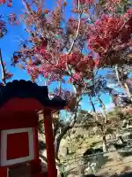 市杵島神社(高萩八幡宮境内社)(茨城県)