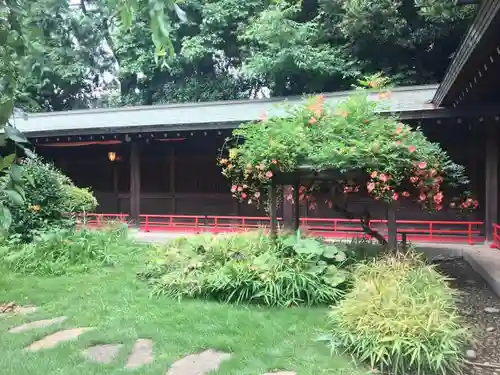 代々木八幡宮の庭園