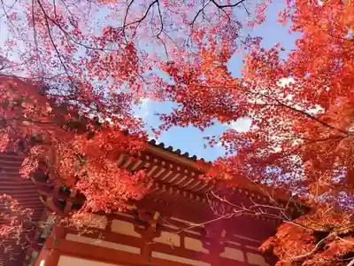 久安寺(大阪府)