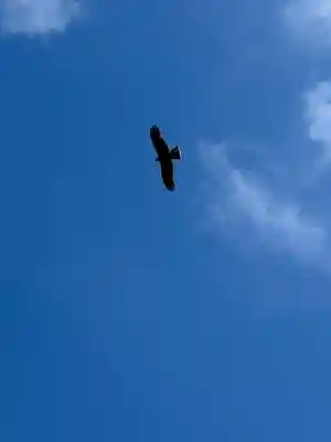 大渕寺(埼玉県)