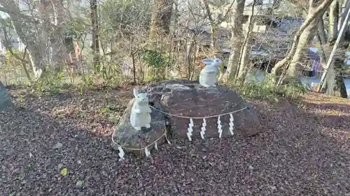 出雲大神宮の狛犬