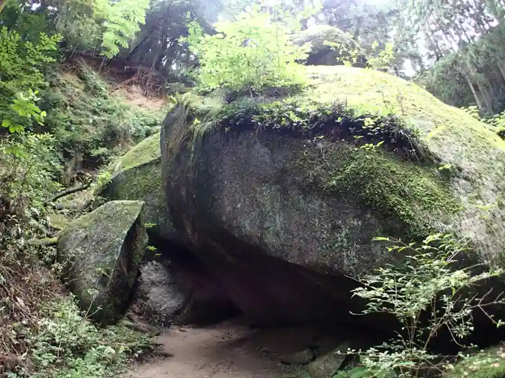 名草厳島神社の自然