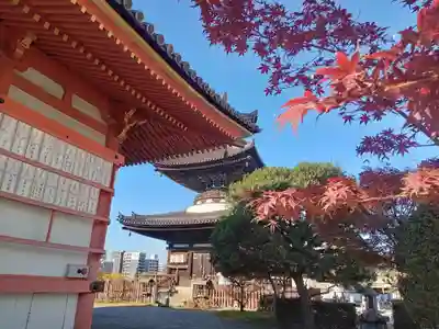 愛染堂勝鬘院の塔