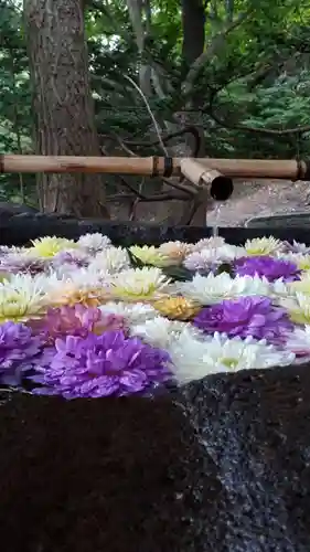 千歳神社の手水舎