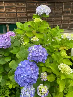 大蔵院(群馬県)