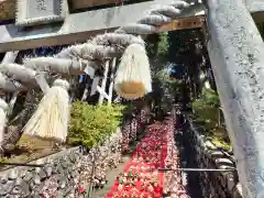 素盞嗚神社(静岡県)