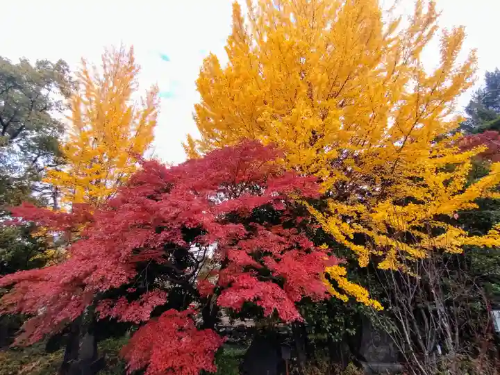 高幡不動尊 金剛寺(東京都)