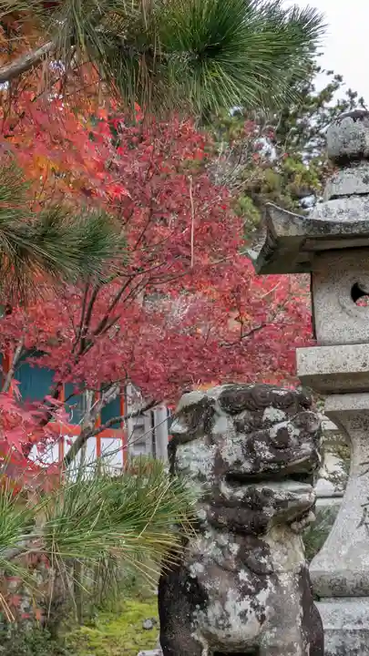鍬山神社(京都府)