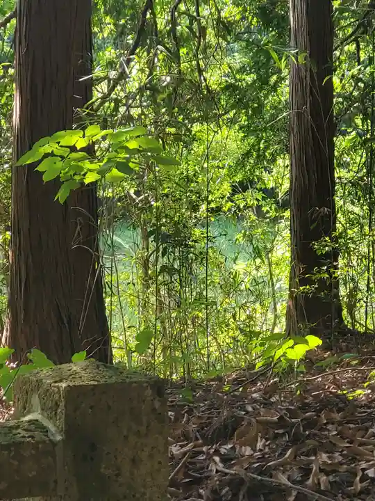 二荒山神社(栃木県)