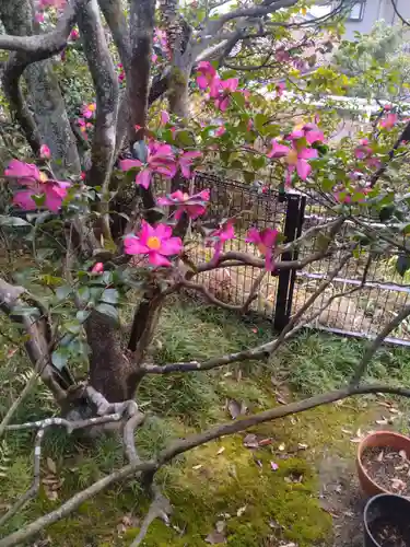 常林寺(宮城県)