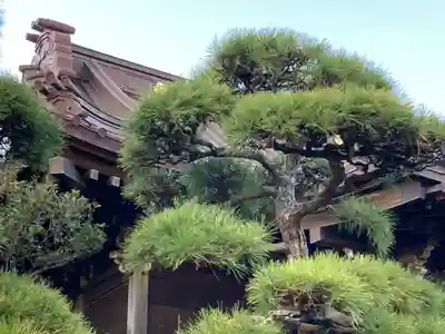 大巧寺(神奈川県)