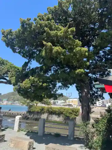 森戸大明神（森戸神社）の{uncategorized: "未分類", other: "その他", undefined: "問題あり", building: "その他建物", grave: "お墓", sacred_gate: "鳥居", guardian: "狛犬", statue: "像", buddha: "仏像", history: "歴史", nature: "自然", garden: "庭園", animal: "動物", pagoda: "塔", temizu: "手水舎", mountain_gate: "山門・神門", sanctuary: "本殿・本堂", subordinate: "末社・摂社", art: "芸術", scenery: "景色", jizo: "地蔵", ema: "絵馬", goshuin: "御朱印", omikuji: "おみくじ", items: "授与品その他", amulet: "お守り", goshuincho: "御朱印帳", eats: "食事", festival: "お祭り", votive_dance: "神楽", shichigosan: "七五三参", wedding: "結婚式", experience: "体験その他", initially: "初詣", around: "周辺", anti_infection: "感染症対策"}