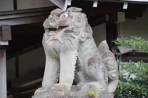 開成山大神宮の狛犬